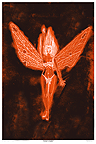 Fiery Fairy Poster