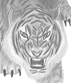Crouching Tiger/Hidden Dragon Stationery